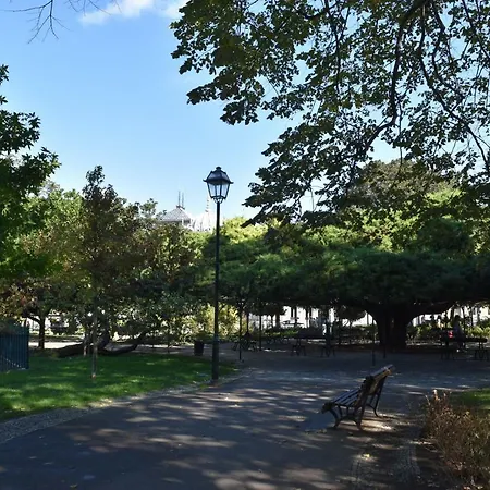 Architect-designed Loft In A Historic Hilltop Neighborhood Lisbona